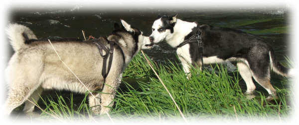 Liebe ist sch&ouml;n